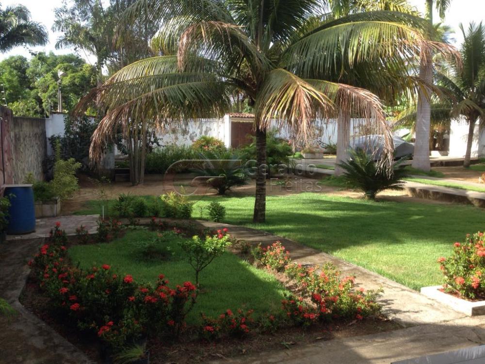 Comprar Rurais / Chácaras em satuba apenas R$ 230.000,00 - Foto 1 Comprar Rurais / Chácaras em satuba apenas R$ 230.000,00 - Foto 1