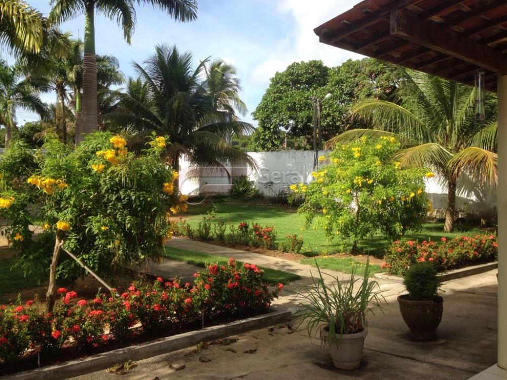 Comprar Rurais / Chácaras em satuba apenas R$ 230.000,00 - Foto 3 Comprar Rurais / Chácaras em satuba apenas R$ 230.000,00 - Foto 3