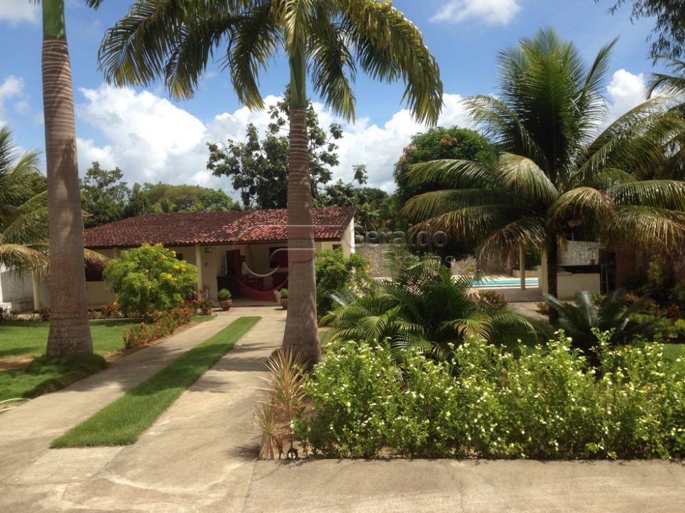 Comprar Rurais / Chácaras em satuba apenas R$ 230.000,00 - Foto 11 Comprar Rurais / Chácaras em satuba apenas R$ 230.000,00 - Foto 11
