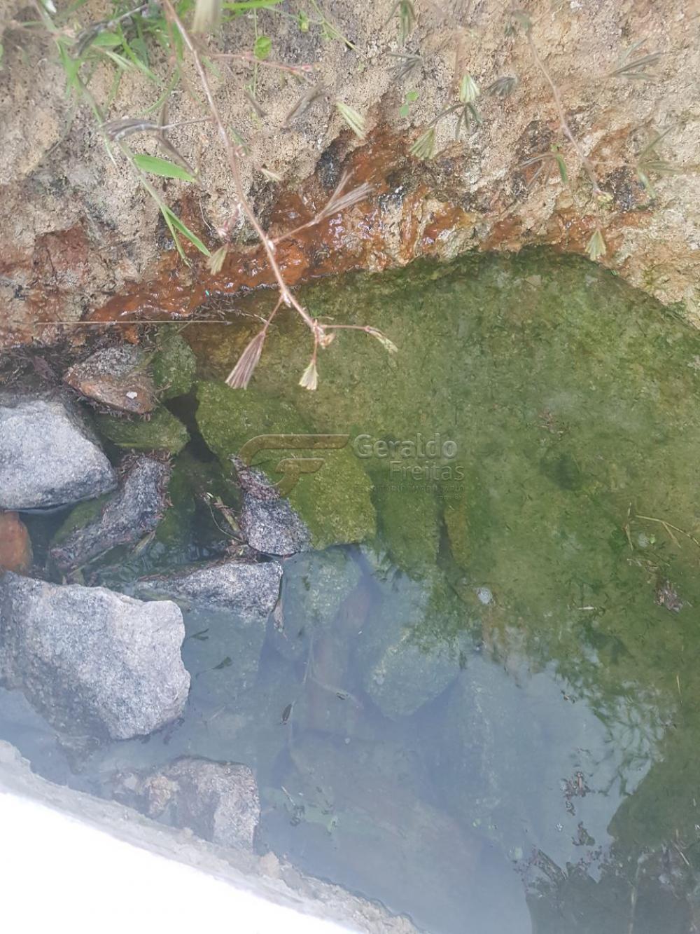 Comprar Rurais / Fazendas em São Miguel dos Campos apenas R$ 1.200.000,00 - Foto 12 Comprar Rurais / Fazendas em São Miguel dos Campos apenas R$ 1.200.000,00 - Foto 12