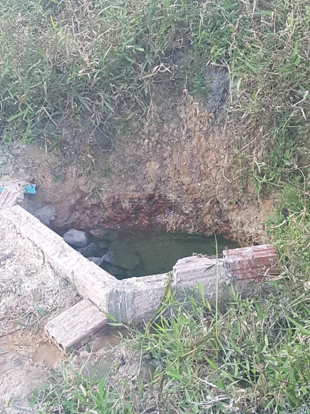 Comprar Rurais / Fazendas em São Miguel dos Campos apenas R$ 1.200.000,00 - Foto 2 Comprar Rurais / Fazendas em São Miguel dos Campos apenas R$ 1.200.000,00 - Foto 2