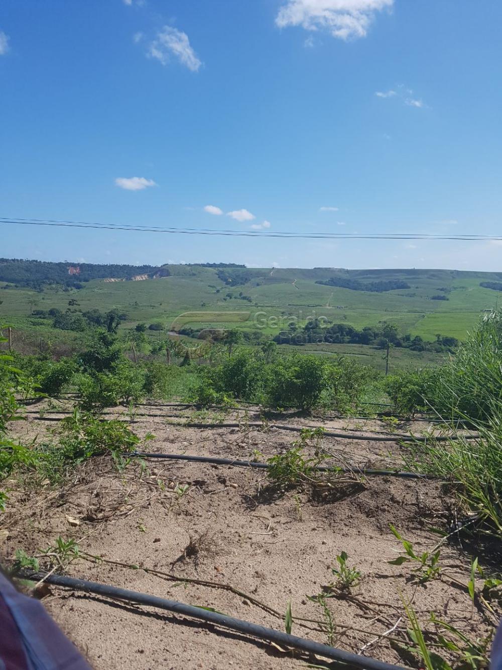 Comprar Rurais / Fazendas em São Miguel dos Campos apenas R$ 1.200.000,00 - Foto 3 Comprar Rurais / Fazendas em São Miguel dos Campos apenas R$ 1.200.000,00 - Foto 3