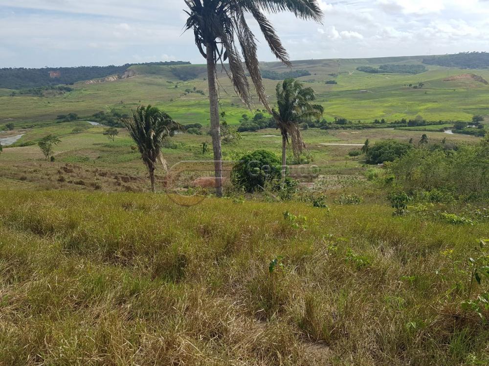 Comprar Rurais / Fazendas em São Miguel dos Campos apenas R$ 1.200.000,00 - Foto 4 Comprar Rurais / Fazendas em São Miguel dos Campos apenas R$ 1.200.000,00 - Foto 4