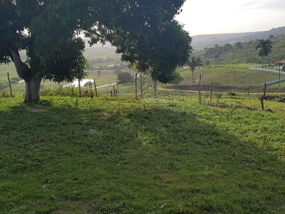 Comprar Rurais / Fazendas em São Miguel dos Campos apenas R$ 1.200.000,00 - Foto 5 Comprar Rurais / Fazendas em São Miguel dos Campos apenas R$ 1.200.000,00 - Foto 5
