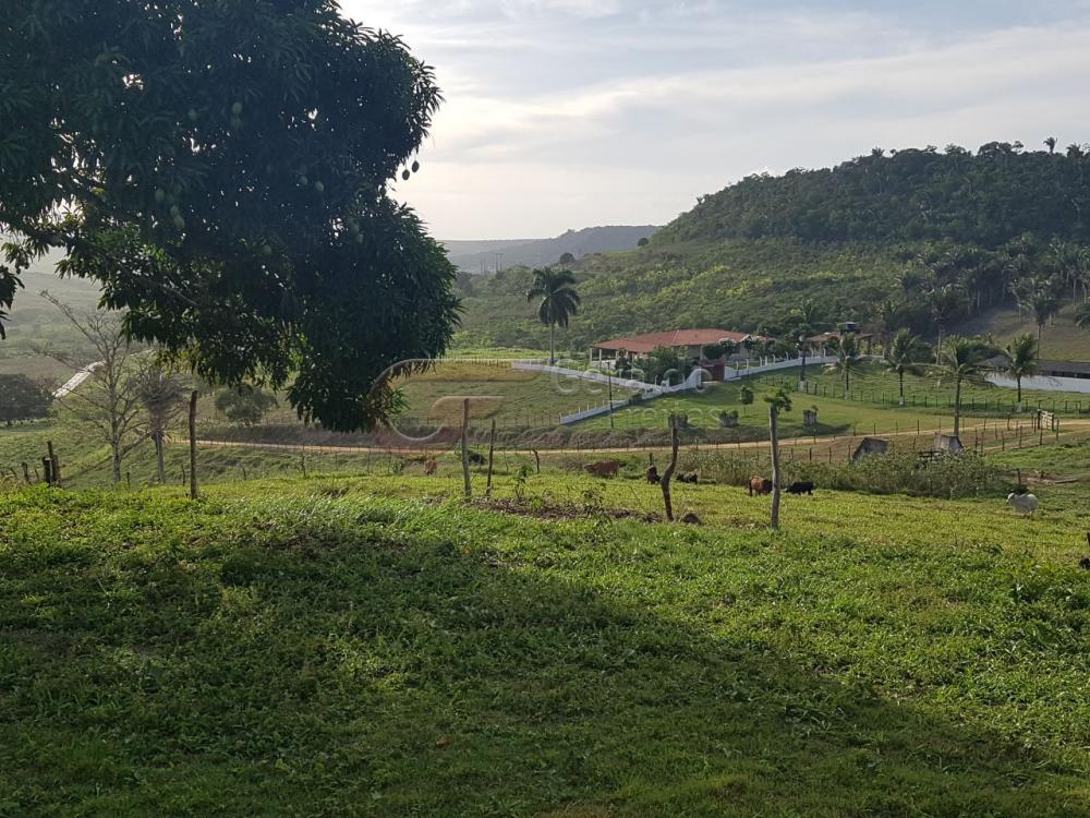 Comprar Rurais / Fazendas em São Miguel dos Campos apenas R$ 1.200.000,00 - Foto 6 Comprar Rurais / Fazendas em São Miguel dos Campos apenas R$ 1.200.000,00 - Foto 6