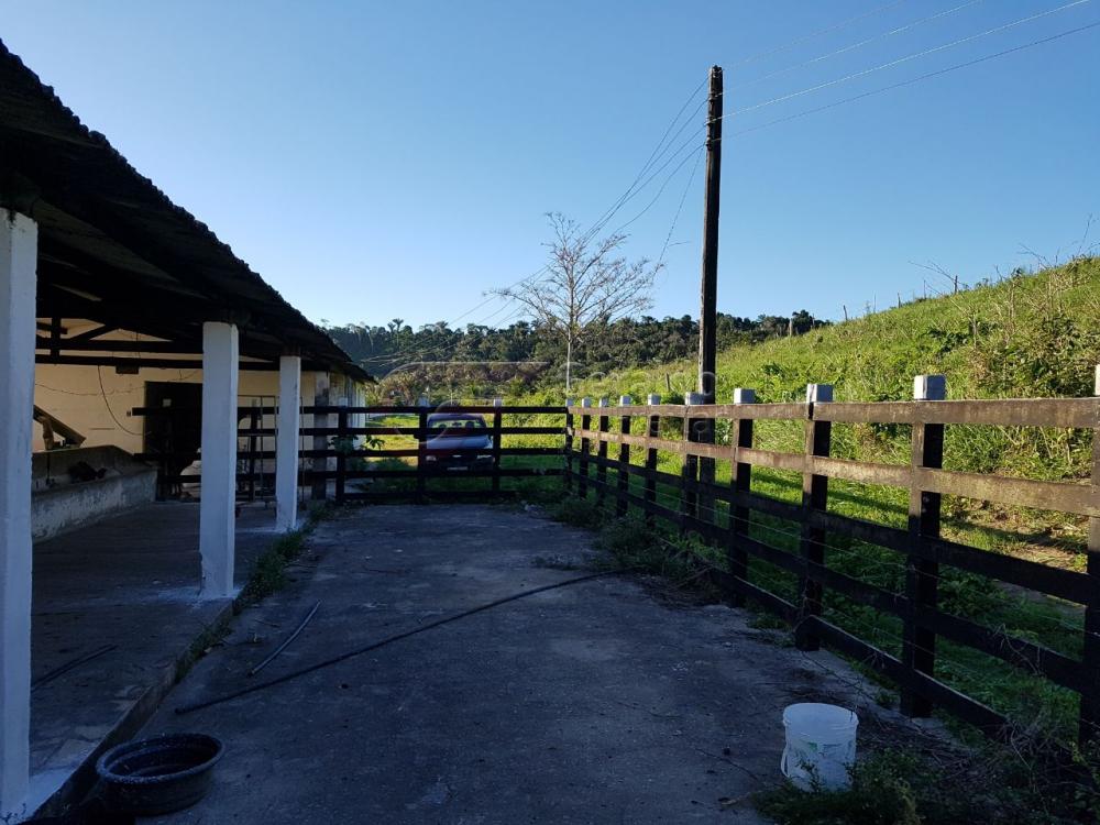 Comprar Rurais / Fazendas em São Miguel dos Campos apenas R$ 1.200.000,00 - Foto 8 Comprar Rurais / Fazendas em São Miguel dos Campos apenas R$ 1.200.000,00 - Foto 8