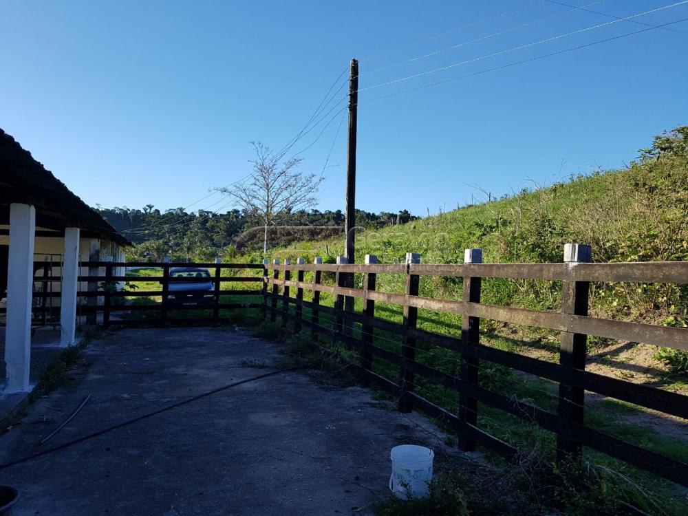 Comprar Rurais / Fazendas em São Miguel dos Campos apenas R$ 1.200.000,00 - Foto 9 Comprar Rurais / Fazendas em São Miguel dos Campos apenas R$ 1.200.000,00 - Foto 9