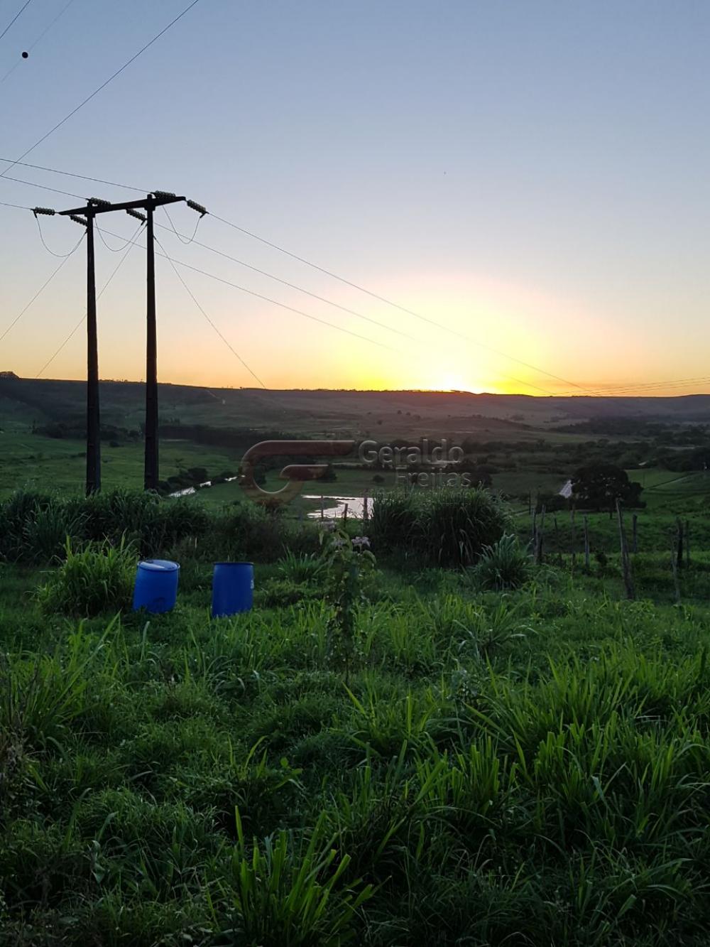 Comprar Rurais / Fazendas em São Miguel dos Campos apenas R$ 1.200.000,00 - Foto 1 Comprar Rurais / Fazendas em São Miguel dos Campos apenas R$ 1.200.000,00 - Foto 1