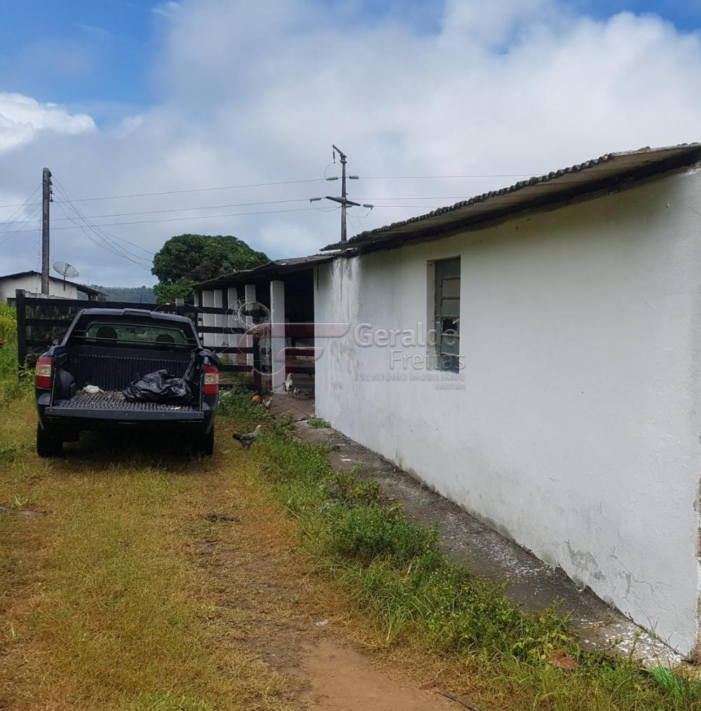 Comprar Rurais / Fazendas em São Miguel dos Campos apenas R$ 1.200.000,00 - Foto 13 Comprar Rurais / Fazendas em São Miguel dos Campos apenas R$ 1.200.000,00 - Foto 13