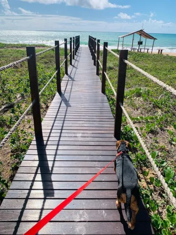 Maceio Guaxuma Apartamento Venda R$1.500.000,00 3 Dormitorios 2 Vagas 